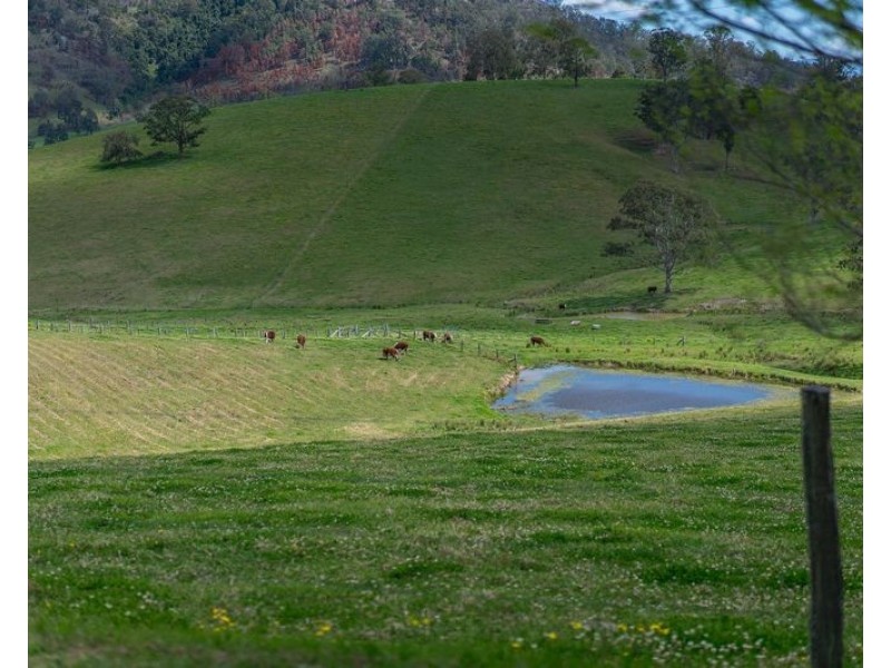 893 Waukivory Road, Gloucester NSW 2422