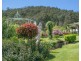 893 Waukivory Road, Gloucester NSW 2422