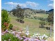 893 Waukivory Road, Gloucester NSW 2422