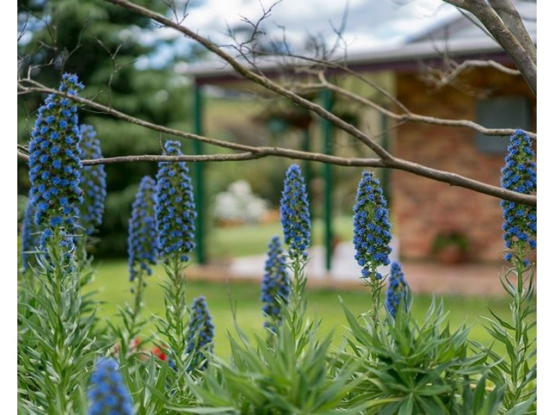 893 Waukivory Road, Gloucester NSW 2422