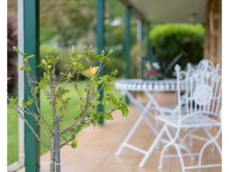 893 Waukivory Road, Gloucester NSW 2422