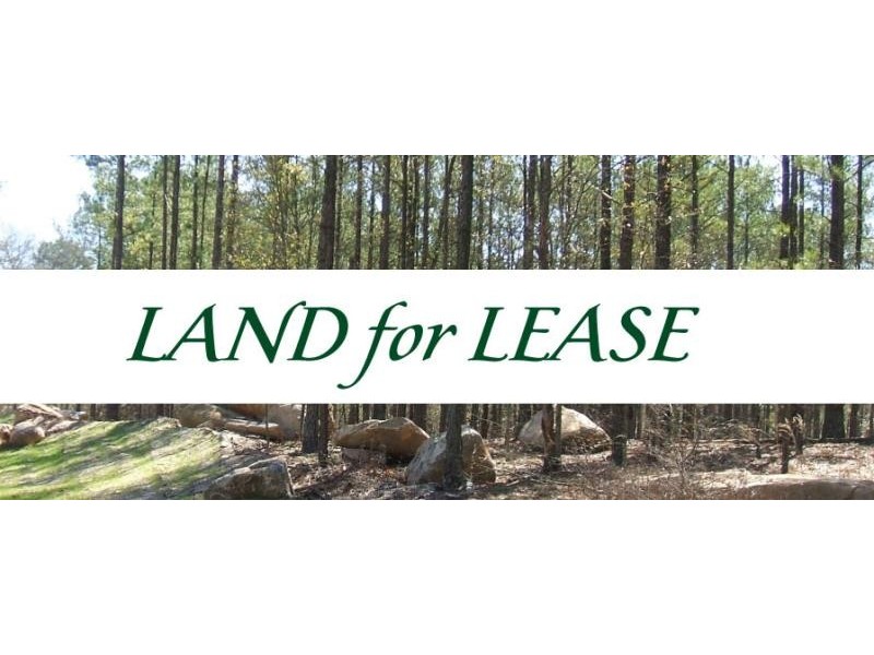Lot 41 CAMP ROAD, Greta NSW 2334