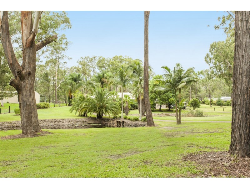 17 Brandy Hill Drive, Brandy Hill NSW 2324