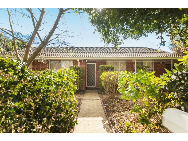 3 Bowman Drive, Raymond Terrace NSW 2324