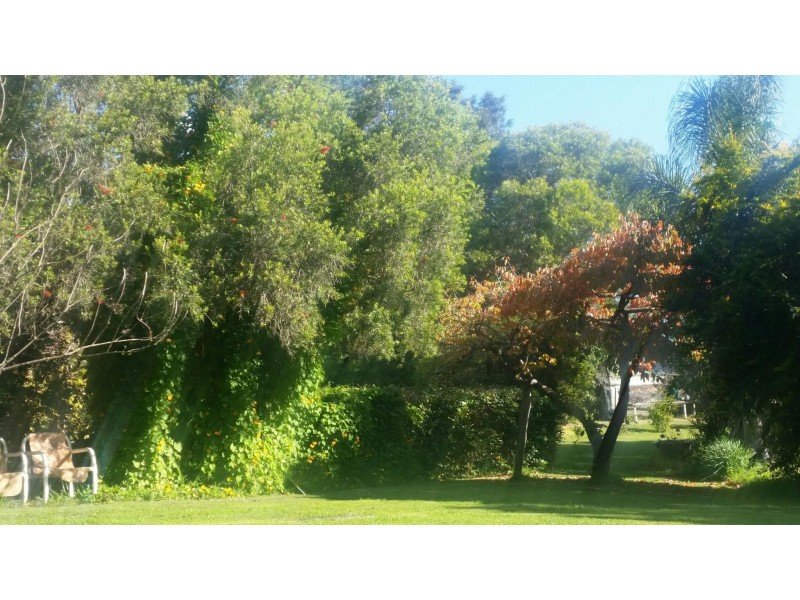 347 Glen Martin Road, Clarence Town NSW 2321