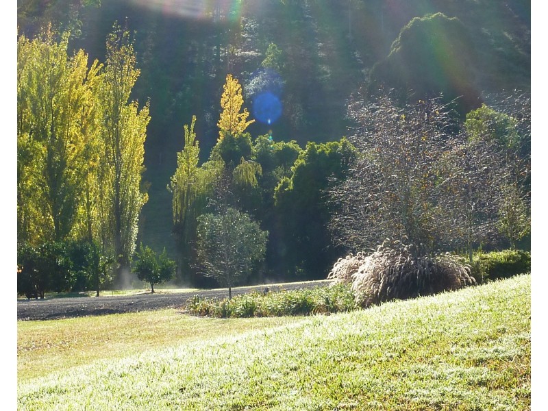 450 Mograni Creek Road, Mograni NSW 2422