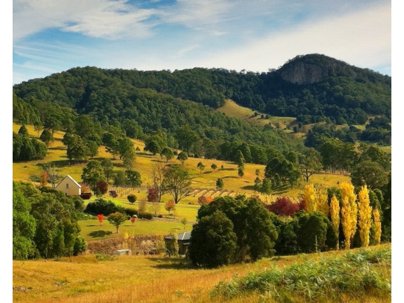 450 Mograni Creek Road, Mograni NSW 2422