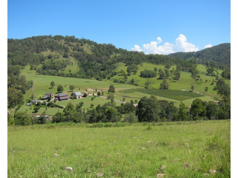 450 Mograni Creek Road, Mograni NSW 2422