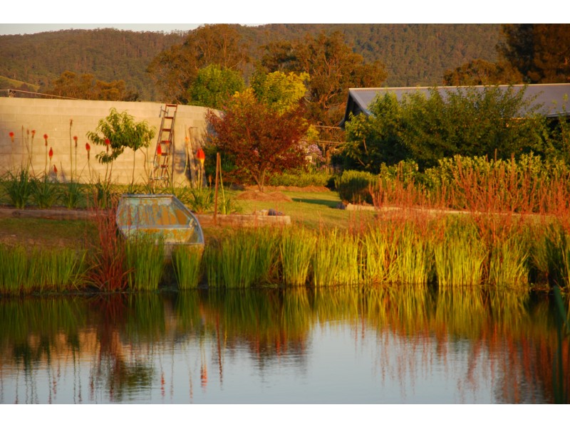 2411 The Bucketts Way, Wards River NSW 2422