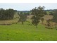 2411 The Bucketts Way, Wards River NSW 2422