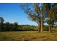 2411 The Bucketts Way, Wards River NSW 2422