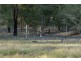 270 Wallarobba Road, Brookfield NSW 2420