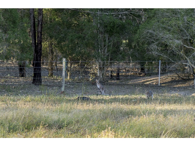 270 Wallarobba Road, Brookfield NSW 2420