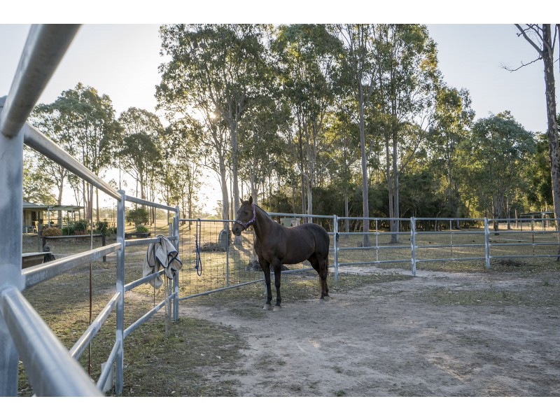 270 Wallarobba Road, Brookfield NSW 2420