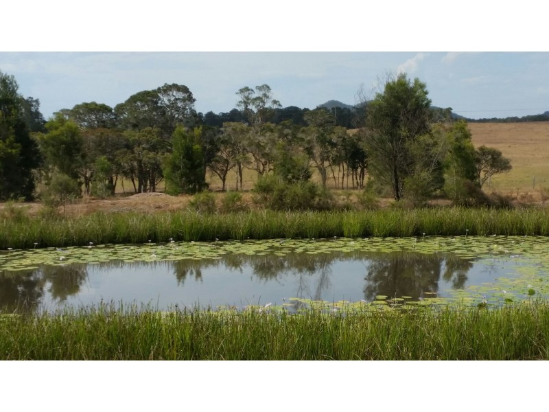 101 Meadows Drive, Clarence Town NSW 2321