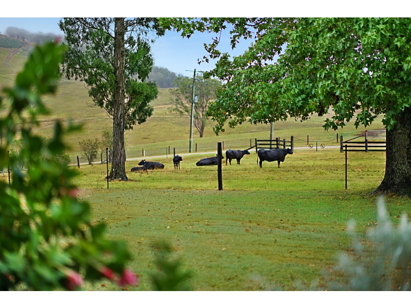 1278 MILL CREEK ROAD, Stroud NSW 2425