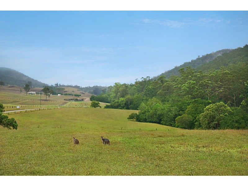 1278 MILL CREEK ROAD, Stroud NSW 2425