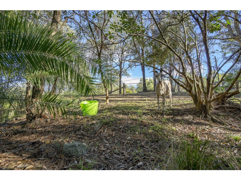 17 Lowe Street, Clarence Town NSW 2321