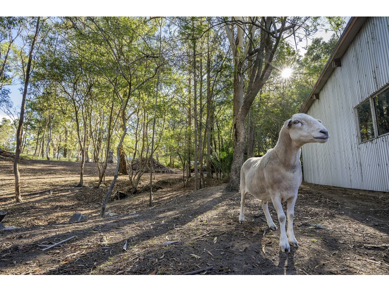 17 Lowe Street, Clarence Town NSW 2321