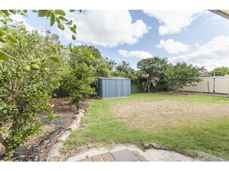 25 Dalyell Way, Raymond Terrace NSW 2324