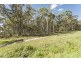 11 Dangar Circuit, Medowie NSW 2318