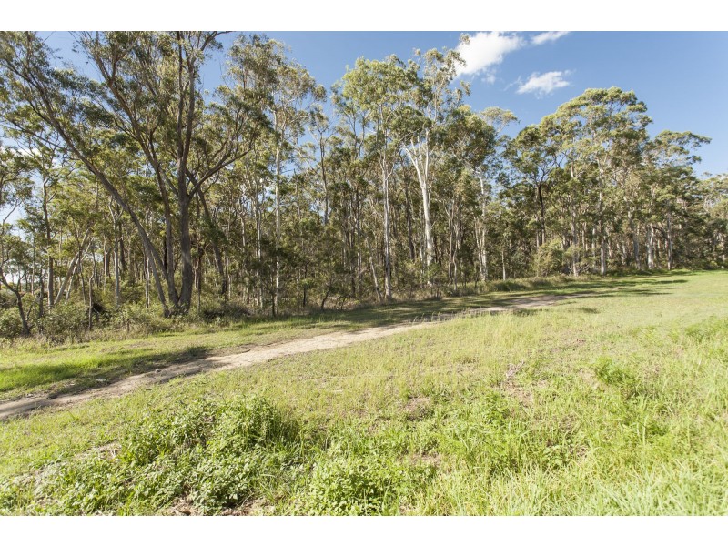 11 Dangar Circuit, Medowie NSW 2318
