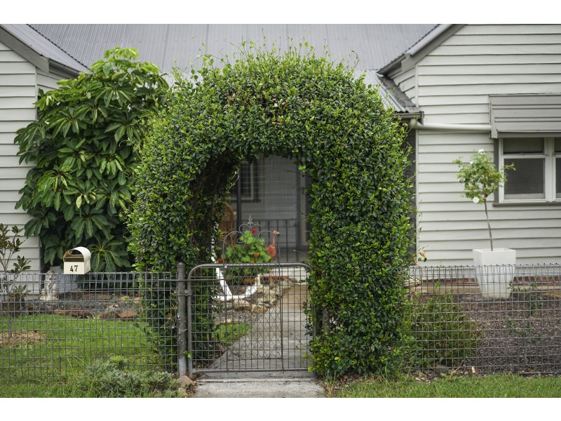 47 Parkside Close, Stroud Road NSW 2415