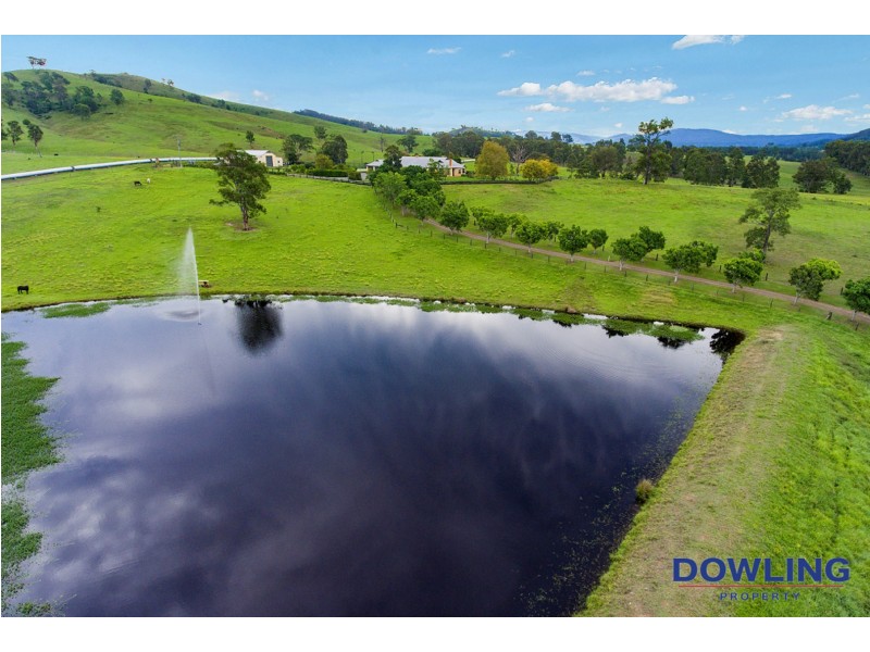 319 Chichester Road, Dungog NSW 2420