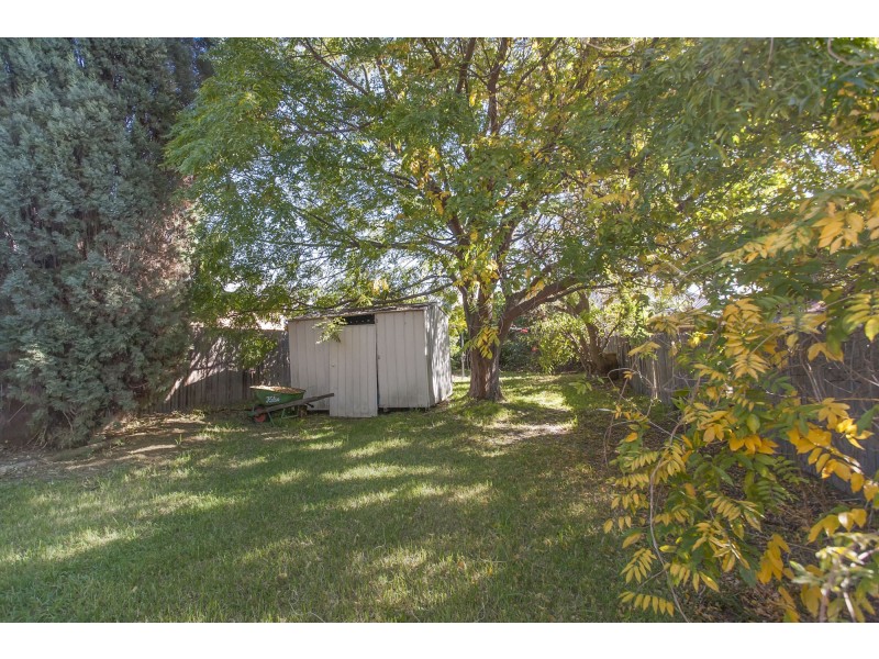 51 Banks Street, East Maitland NSW 2323