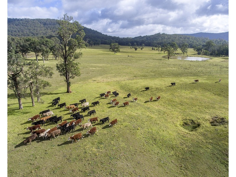 209 Faulkland Road, Gloucester NSW 2422