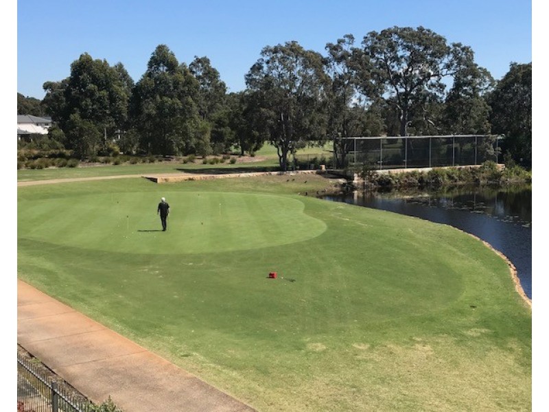 17 Muirfield Way, Medowie NSW 2318