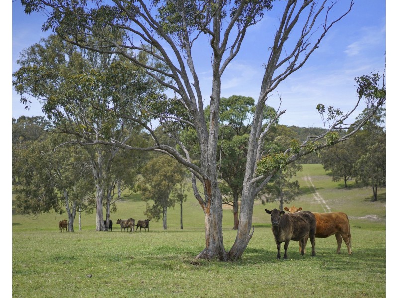 87 Pindimar Road, Tea Gardens NSW 2324