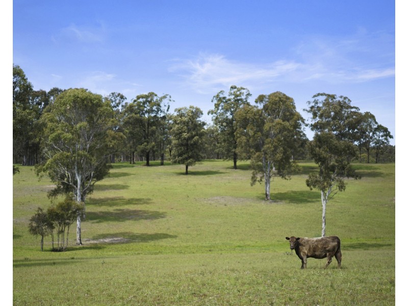 87 Pindimar Road, Tea Gardens NSW 2324