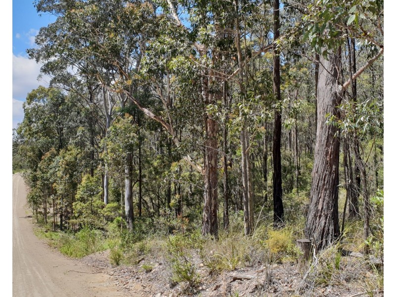 Lot 11 Alderley Lane, Booral NSW 2425