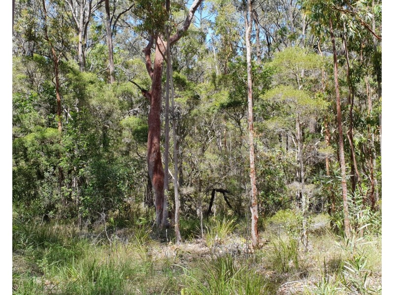 Lot 11 Alderley Lane, Booral NSW 2425