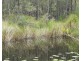 Lot 11 Alderley Lane, Booral NSW 2425