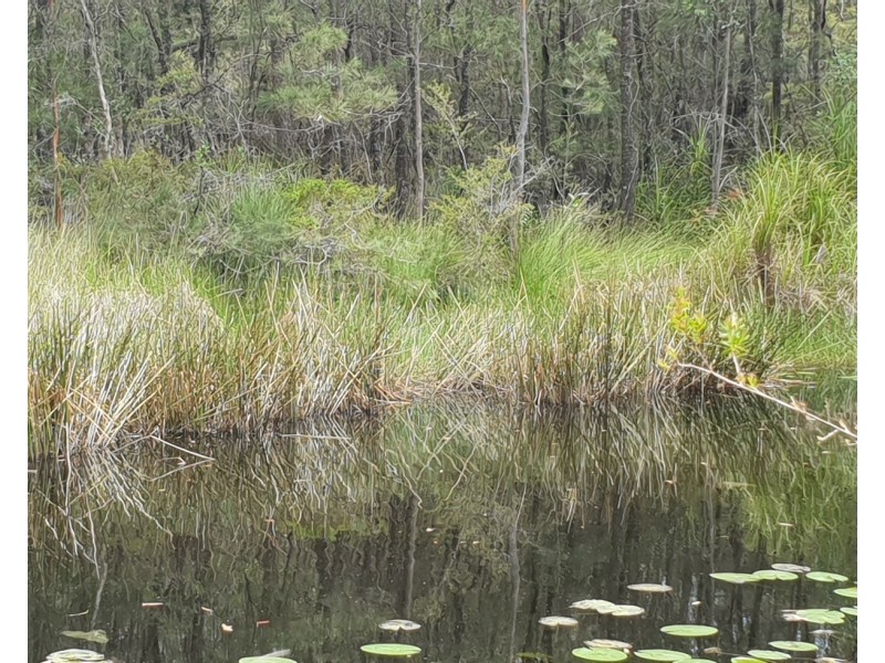 Lot 11 Alderley Lane, Booral NSW 2425