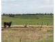 Lot 4, 35 Ralstons Road, Nelsons Plains NSW 2324