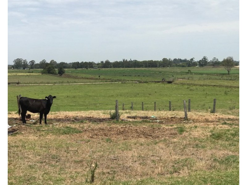 Lot 4, 35 Ralstons Road, Nelsons Plains NSW 2324