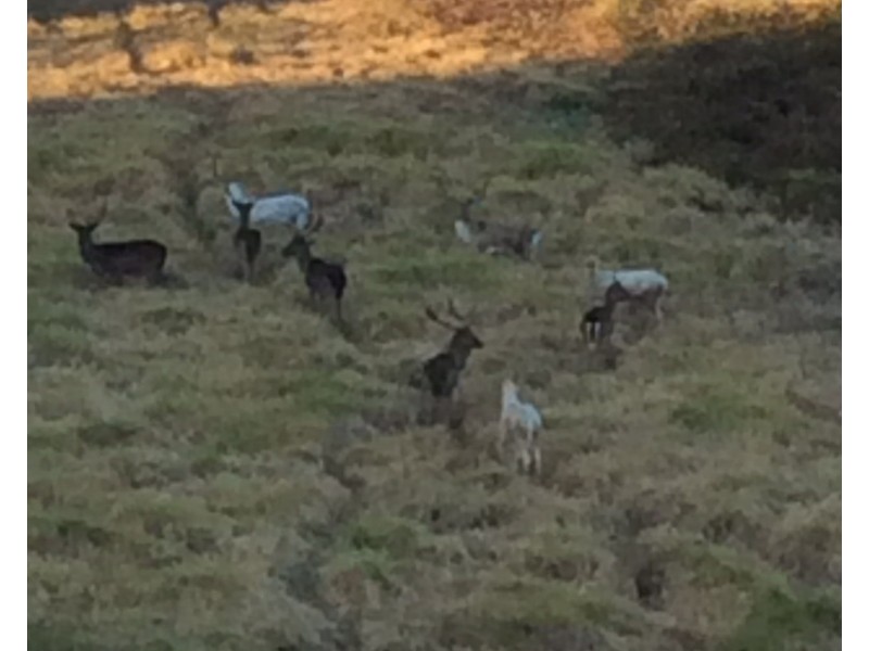 6 Kanwary Close, Raymond Terrace NSW 2324