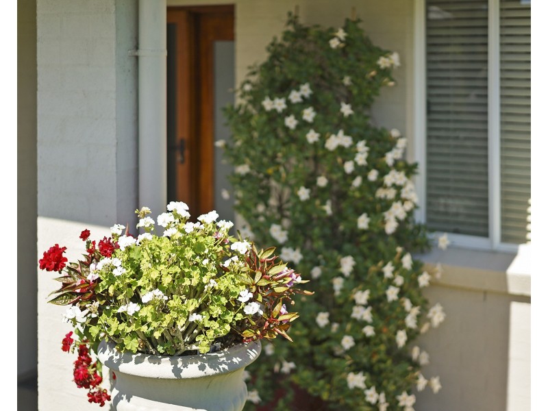 11 The Haven, Tea Gardens NSW 2324