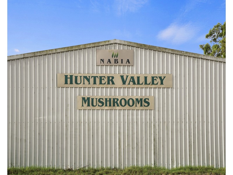 933 Richardson Road, Campvale NSW 2318