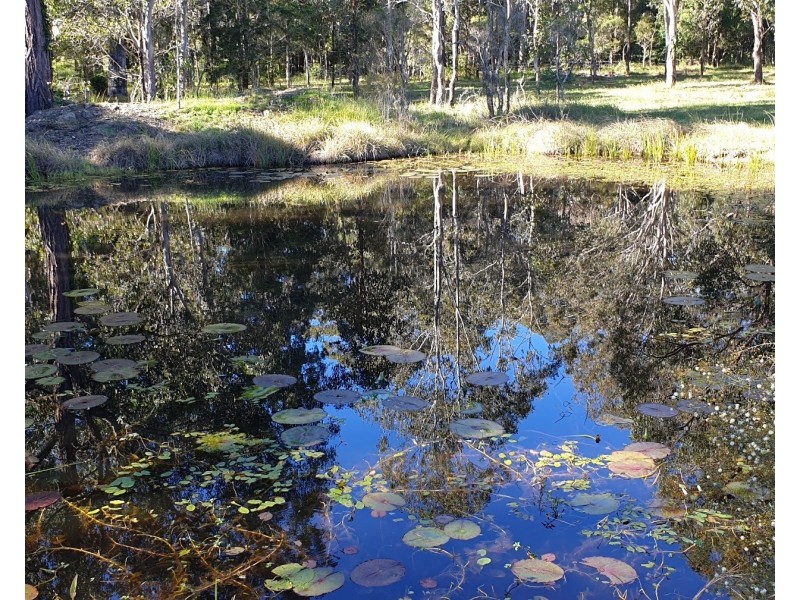 788 Limeburners Creek Road, Clarence Town NSW 2321