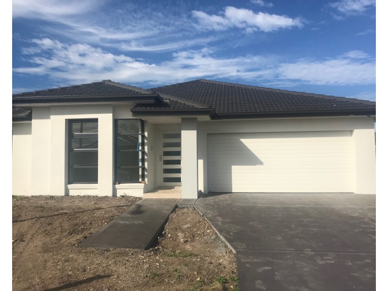 49 Sandpiper Circuit, Aberglasslyn NSW 2320