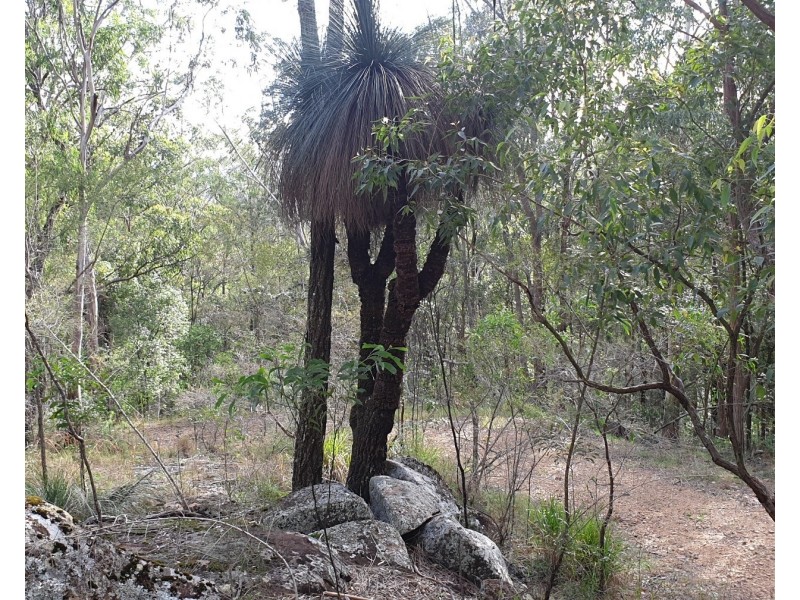 622 Green Wattle Creek Road, Duns Creek NSW 2321