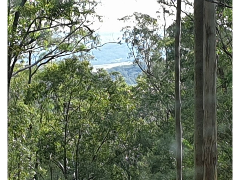 622 Green Wattle Creek Road, Duns Creek NSW 2321