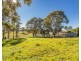 16 Still Street, Seaham NSW 2324