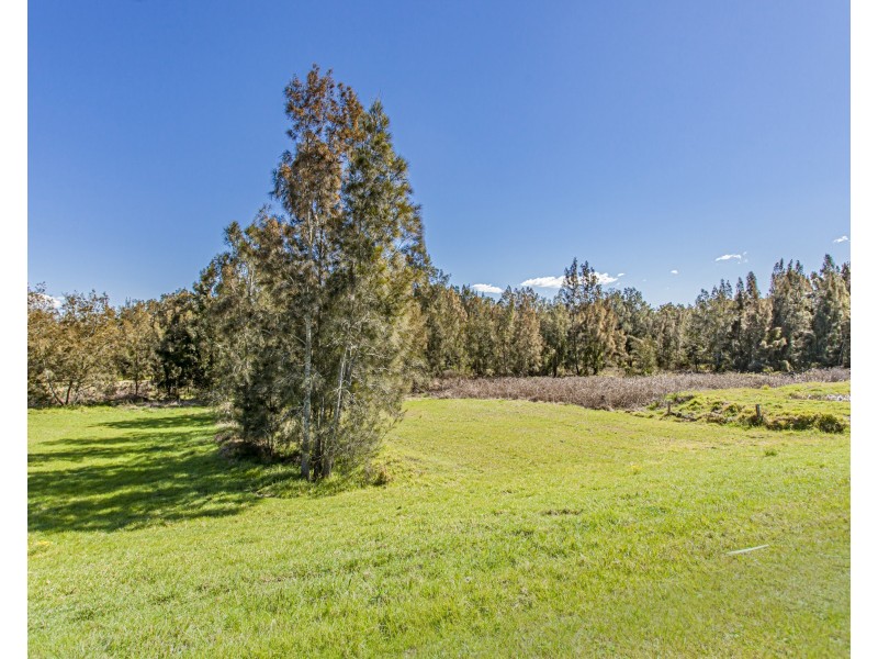 78 Dalyell Way, Raymond Terrace NSW 2324