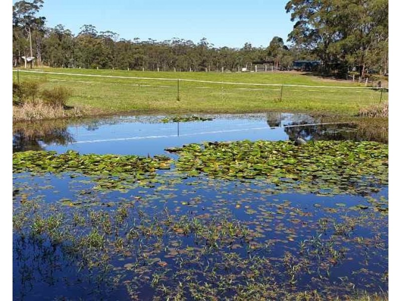 1319 Booral Road, Girvan NSW 2425