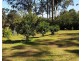 1319 Booral Road, Girvan NSW 2425